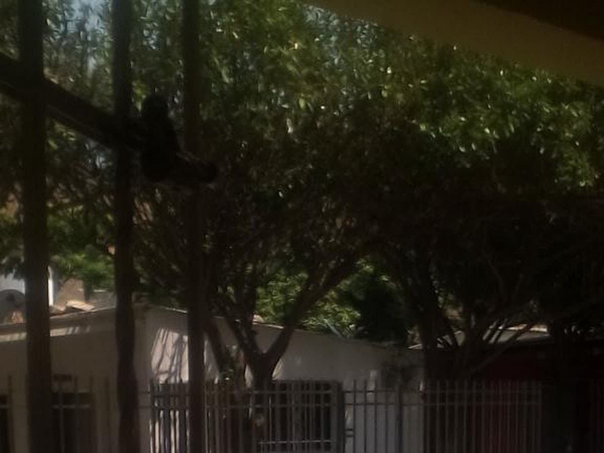I.E.D. Edgardo Vives Campo Sede 1 — foto