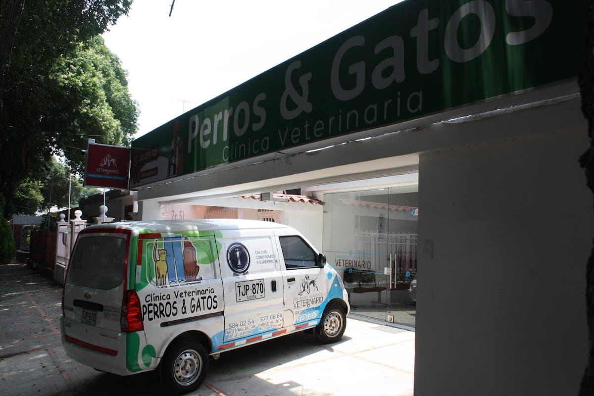 Perros & Gatos | Veterinaria — foto