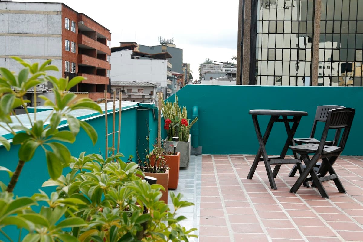 Golden Frog Hotel Experiencia Manizales