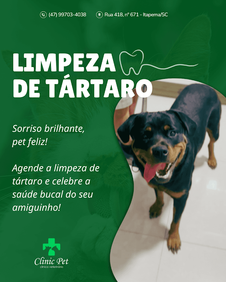 Clinic Pet Clínica Veterinária | Itapema SC — foto