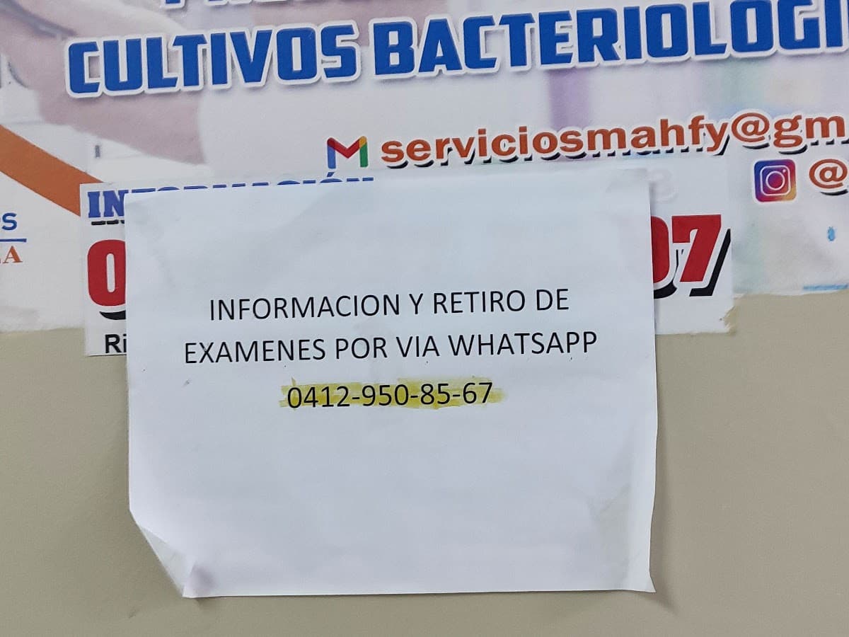LAB EL TOLDO AMARILLO — foto