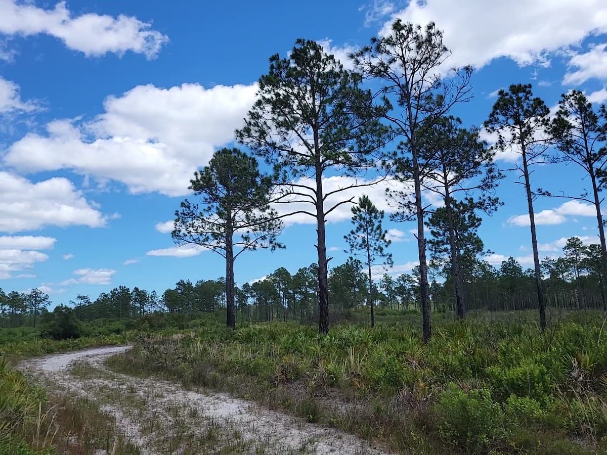 Betz-Tiger Point Preserve — foto
