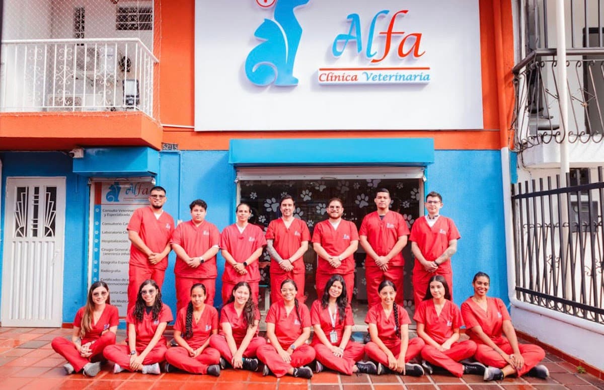Clínica Veterinaria Alfa Urgencias 24 horas