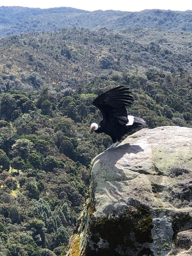 YECKO ADVENTURS agencia de viajes enfocada en ecoturismo por el sur occidente colombiano — foto