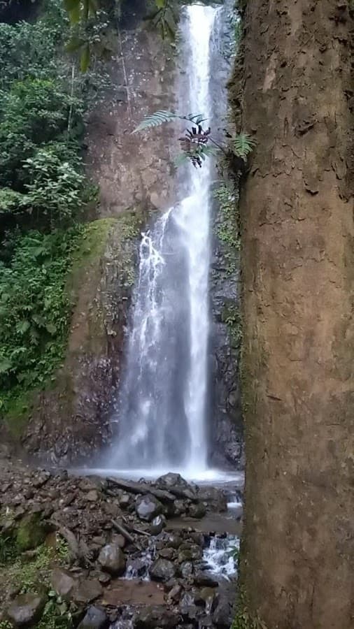 YECKO ADVENTURS agencia de viajes enfocada en ecoturismo por el sur occidente colombiano — foto
