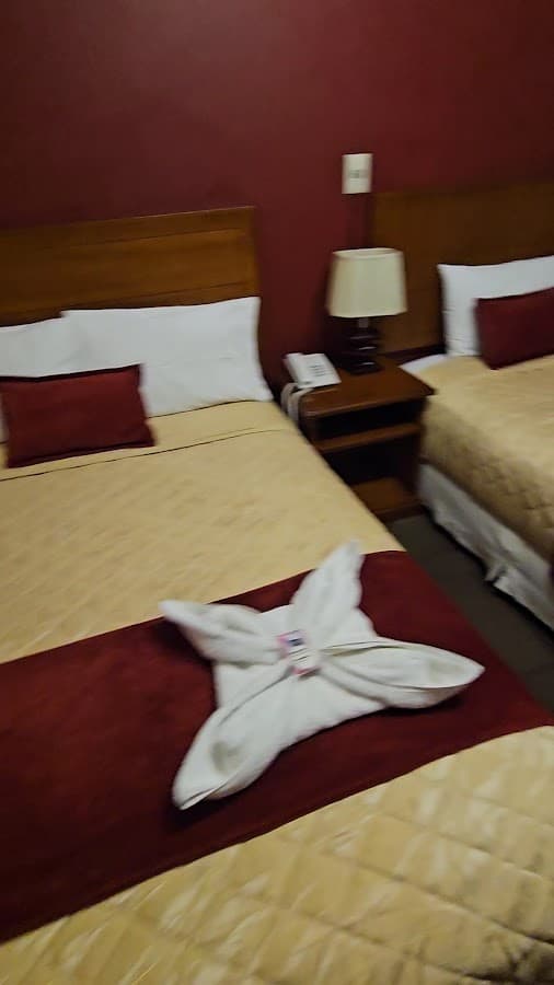 HOTEL VIVENZO — foto