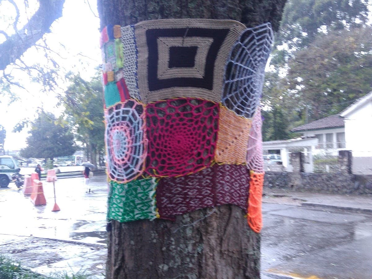 Parque Mosquera — foto