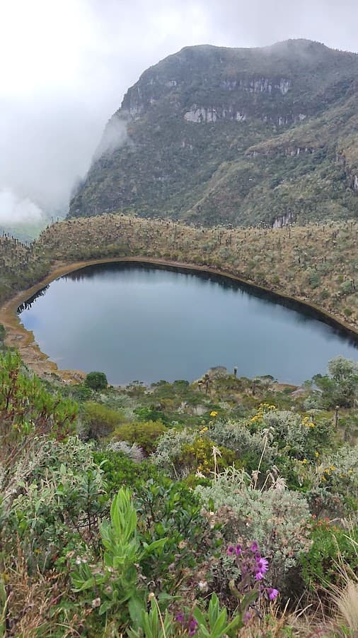 Laguna Negra parque reserva natural — foto