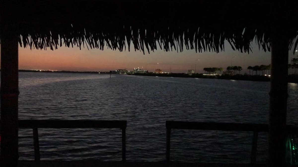 Totally Tiki Tours — foto
