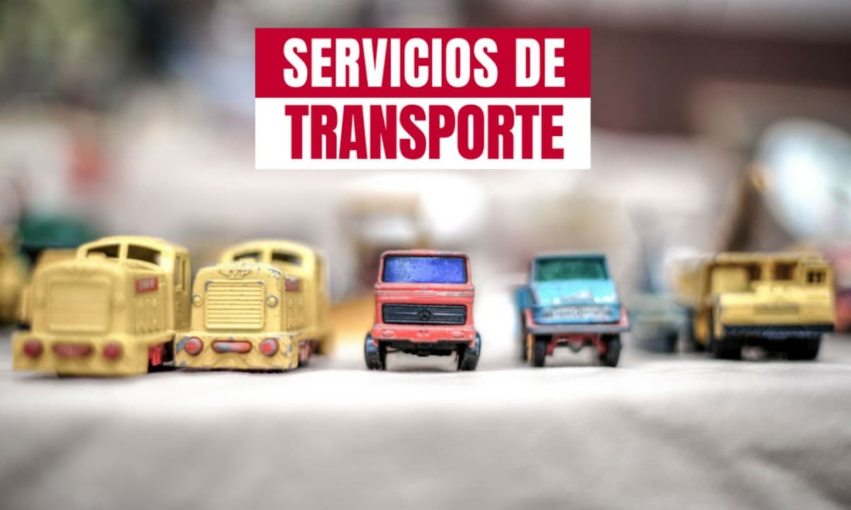 SERVICIO DE TRANSPORTE