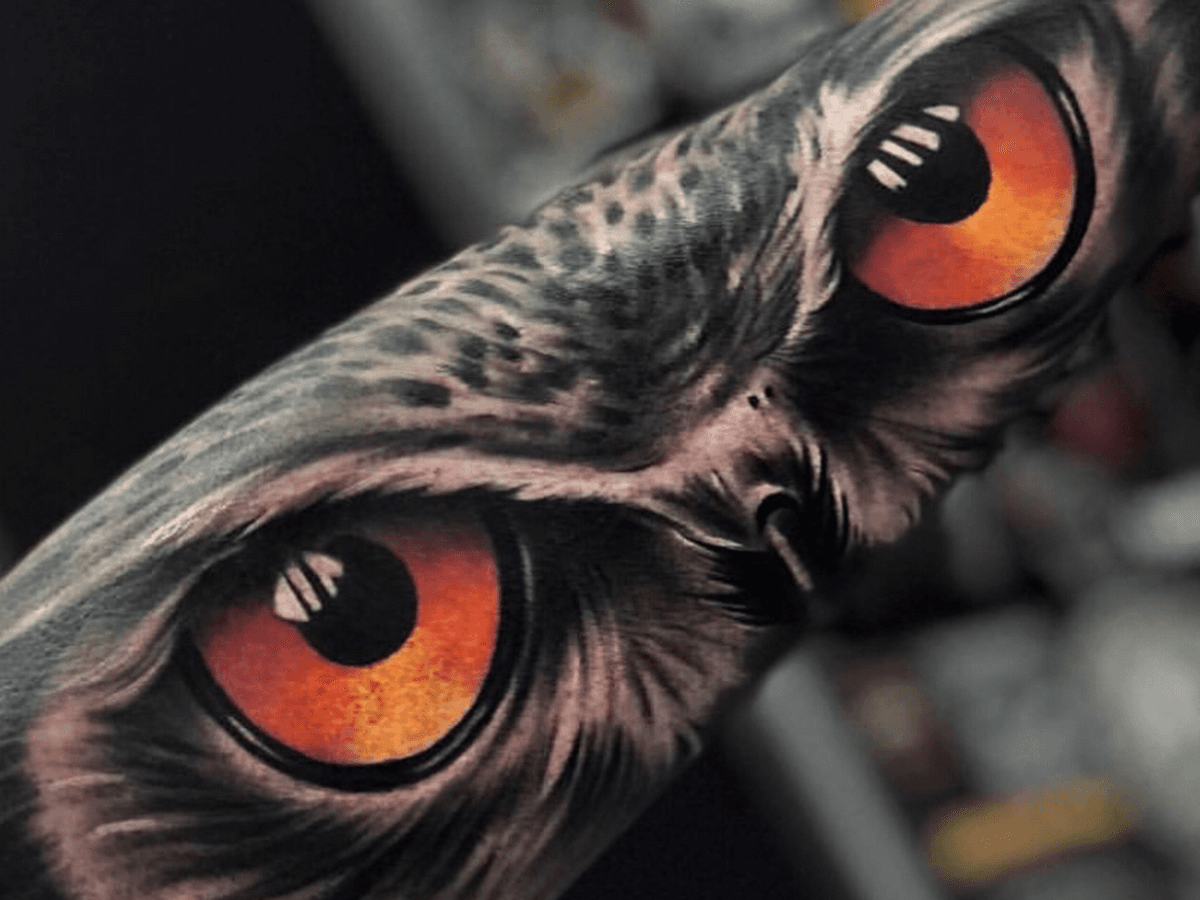 INK MONSTER TATTOO STUDIO — foto