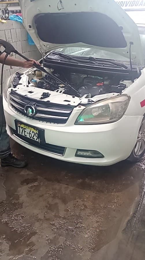 PASION AUTOMOTRIZ — foto