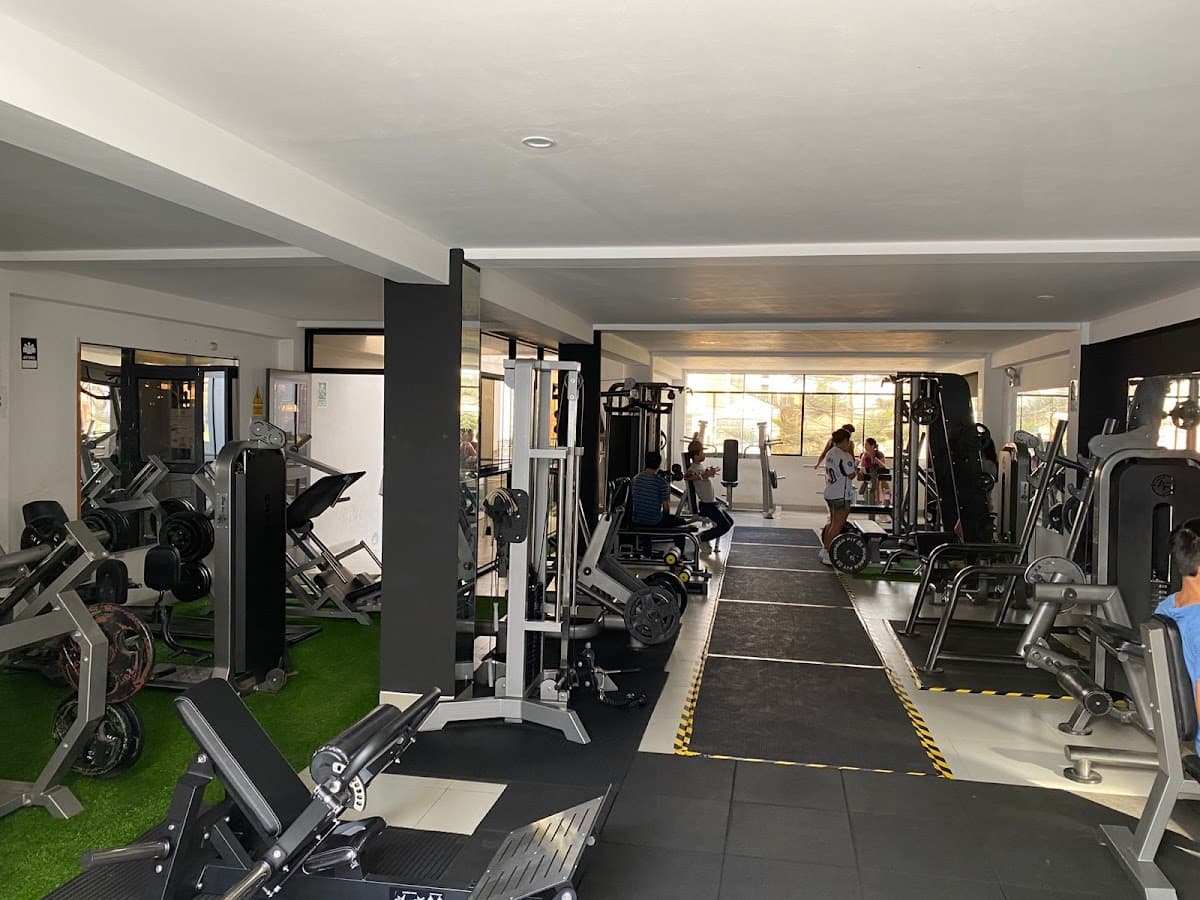 REY MONO GYM