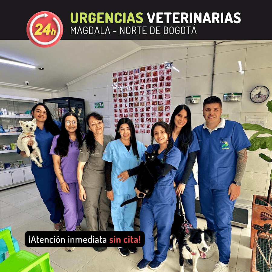 Clínica Veterinaria CPA - Sede Magdala - Urgencias 24 horas - Bogotá