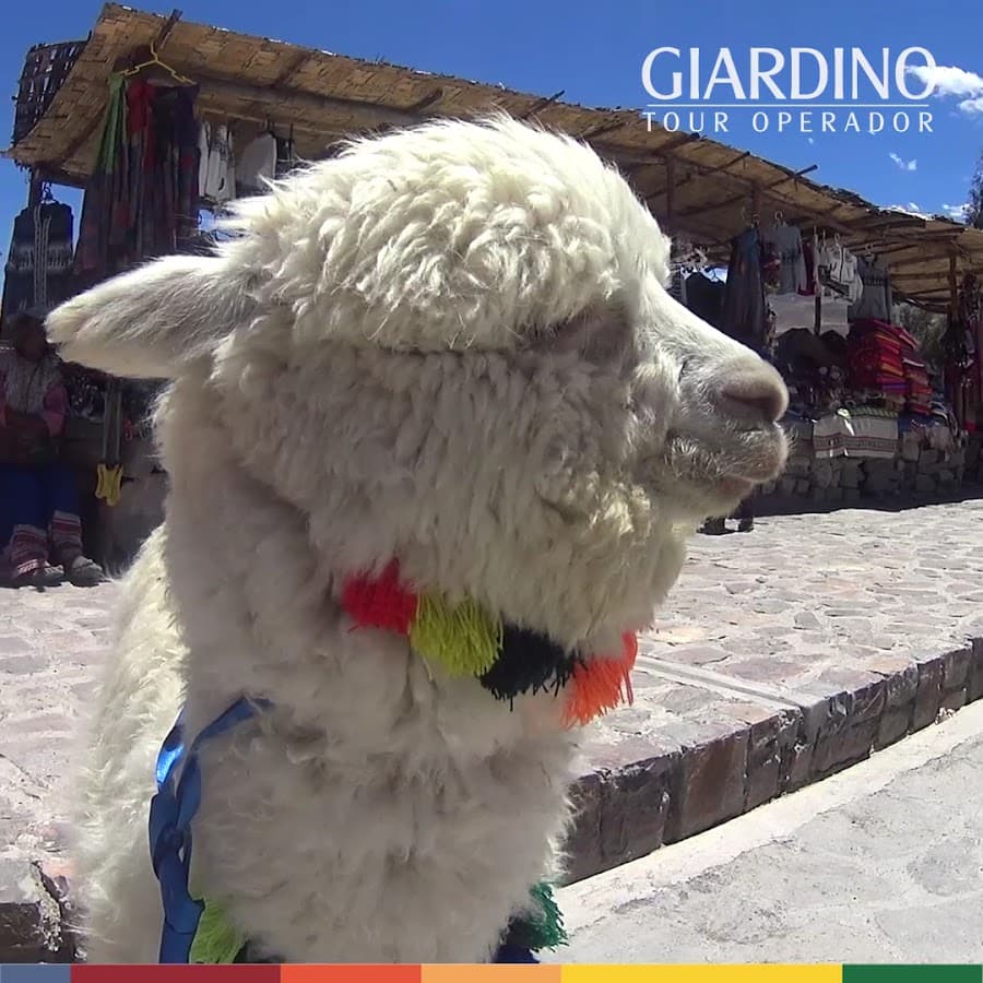 Giardino Tour Operator Perú — foto