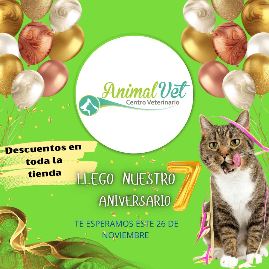 Animal Vet Centro Veterinario — foto