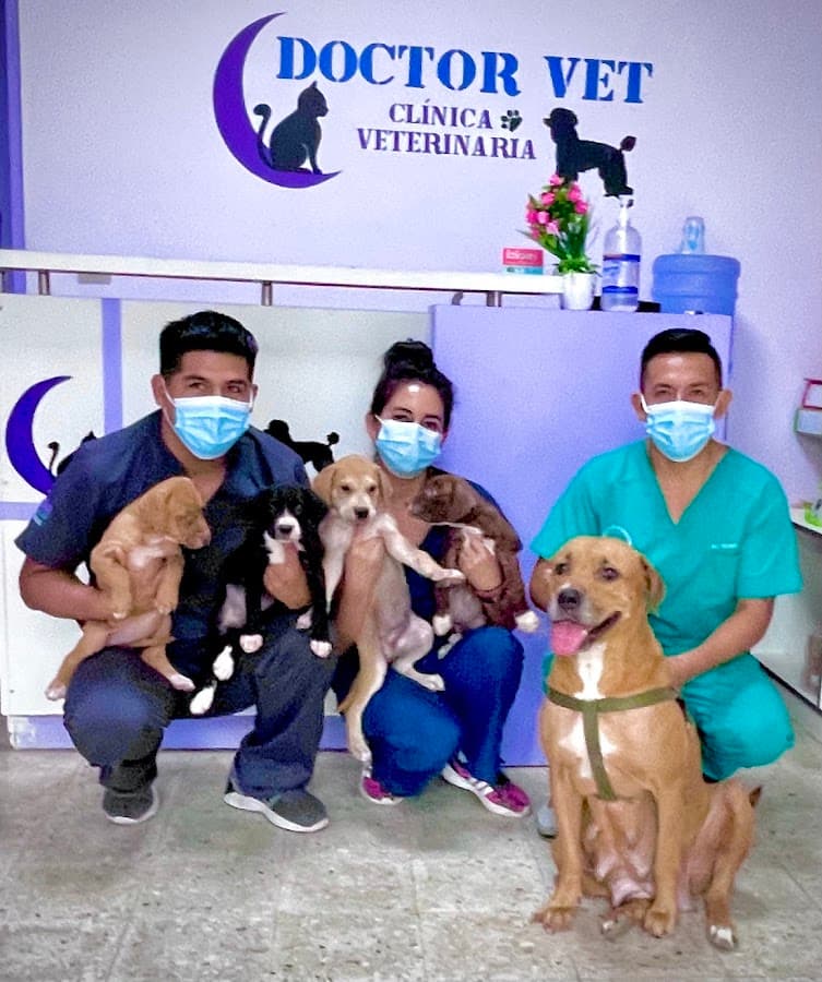 Clínica Veterinaria Doctor Vet — foto