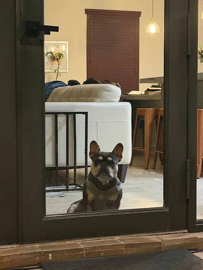 Miami Veterinary Specialists — foto