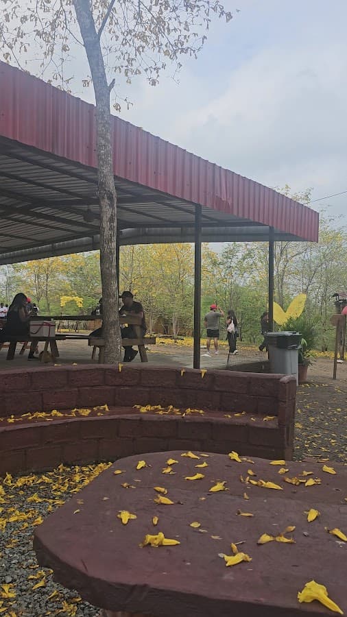 Belvedere Tours - Tour Operador Ecuador — foto