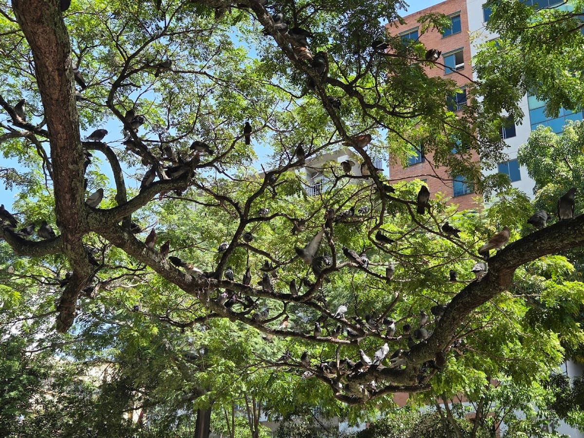 Parque Santander — foto