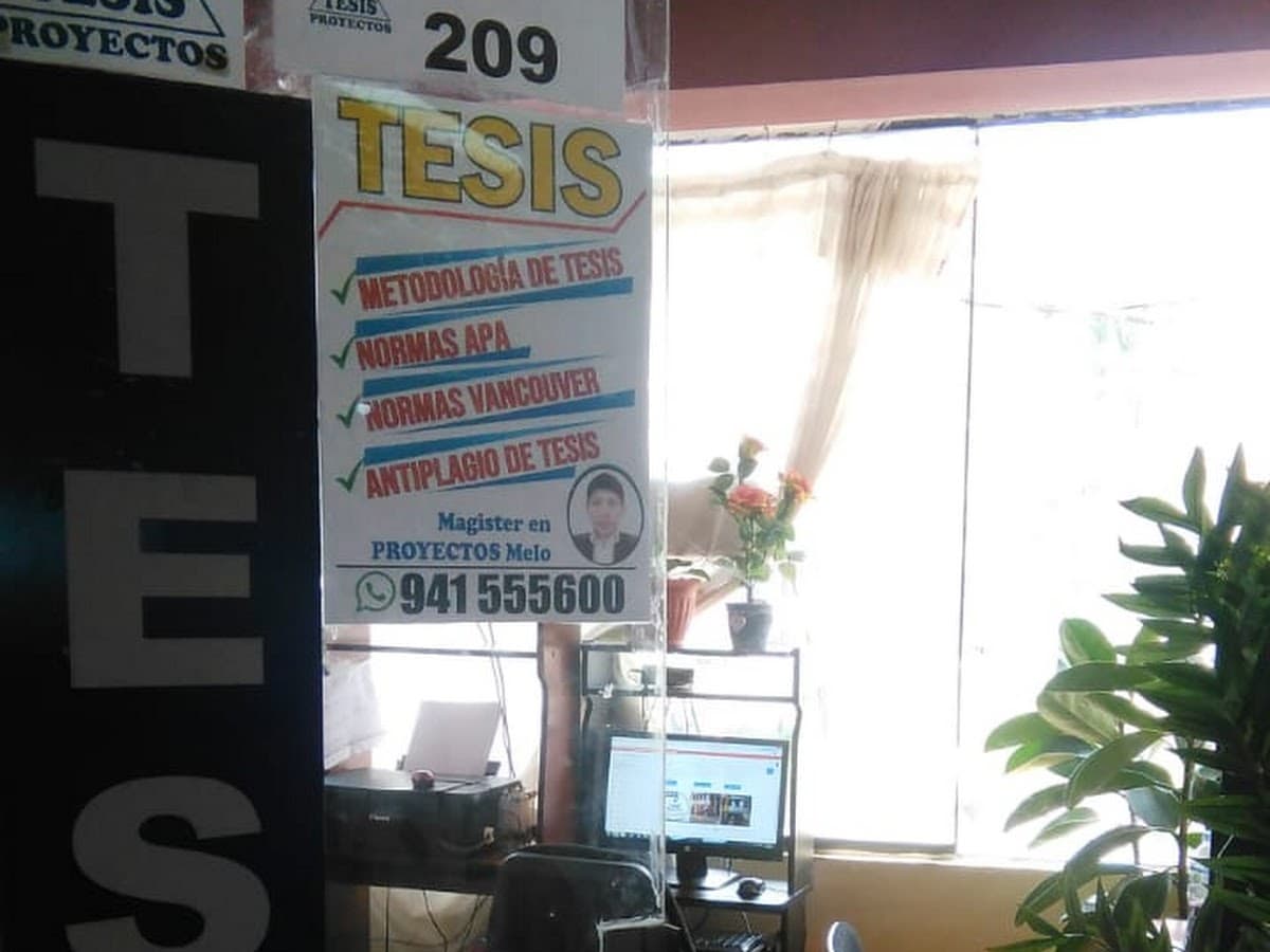 Tesis en contabilidad
