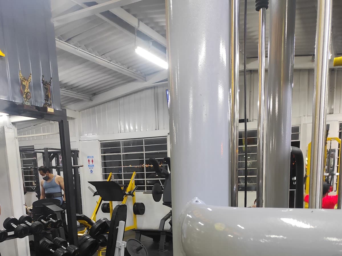 Tiger Gym