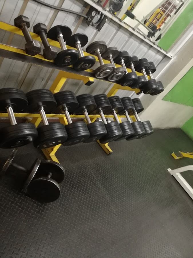 Tiger Gym — foto