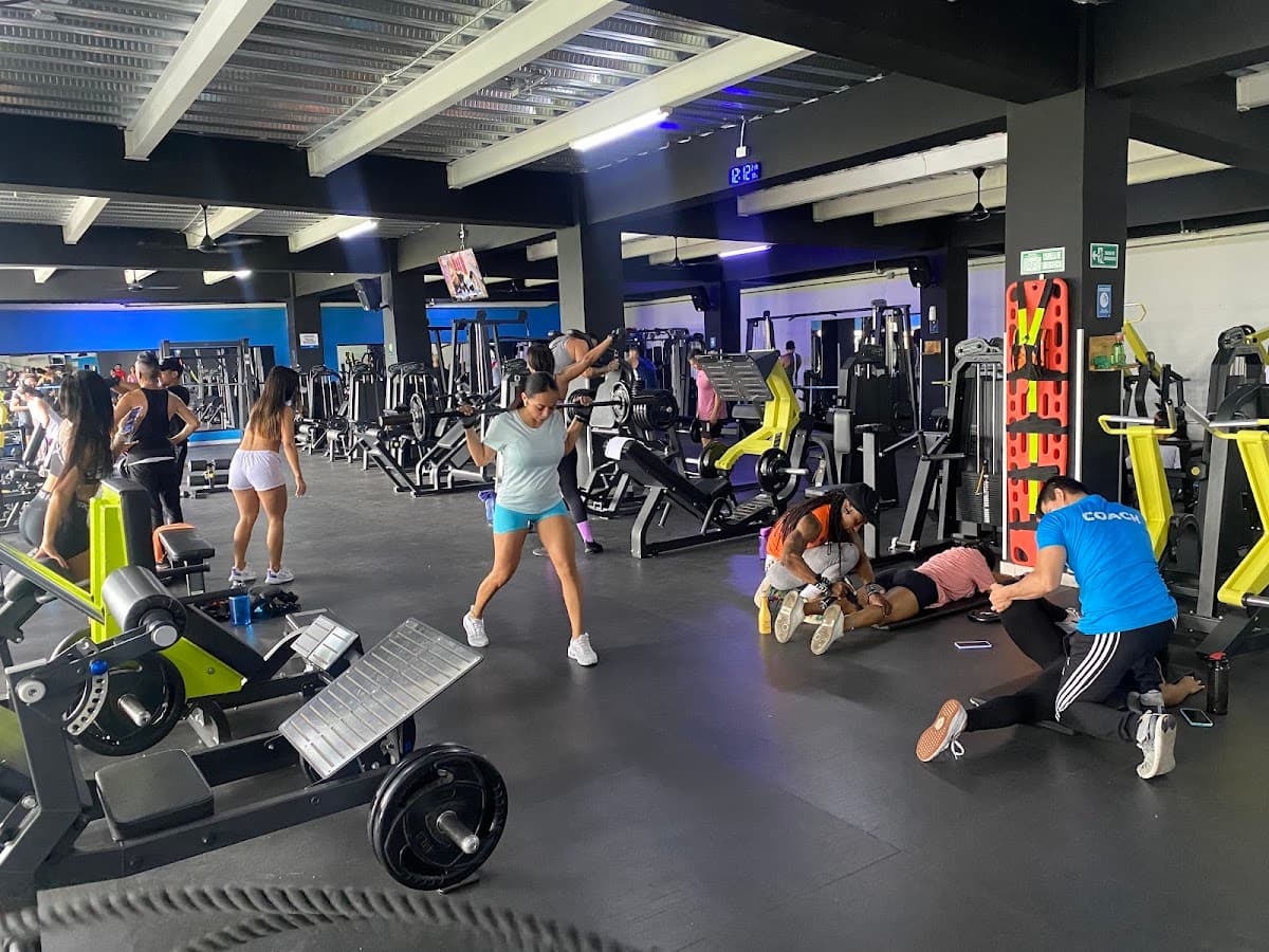 Fit 360 (GYM)