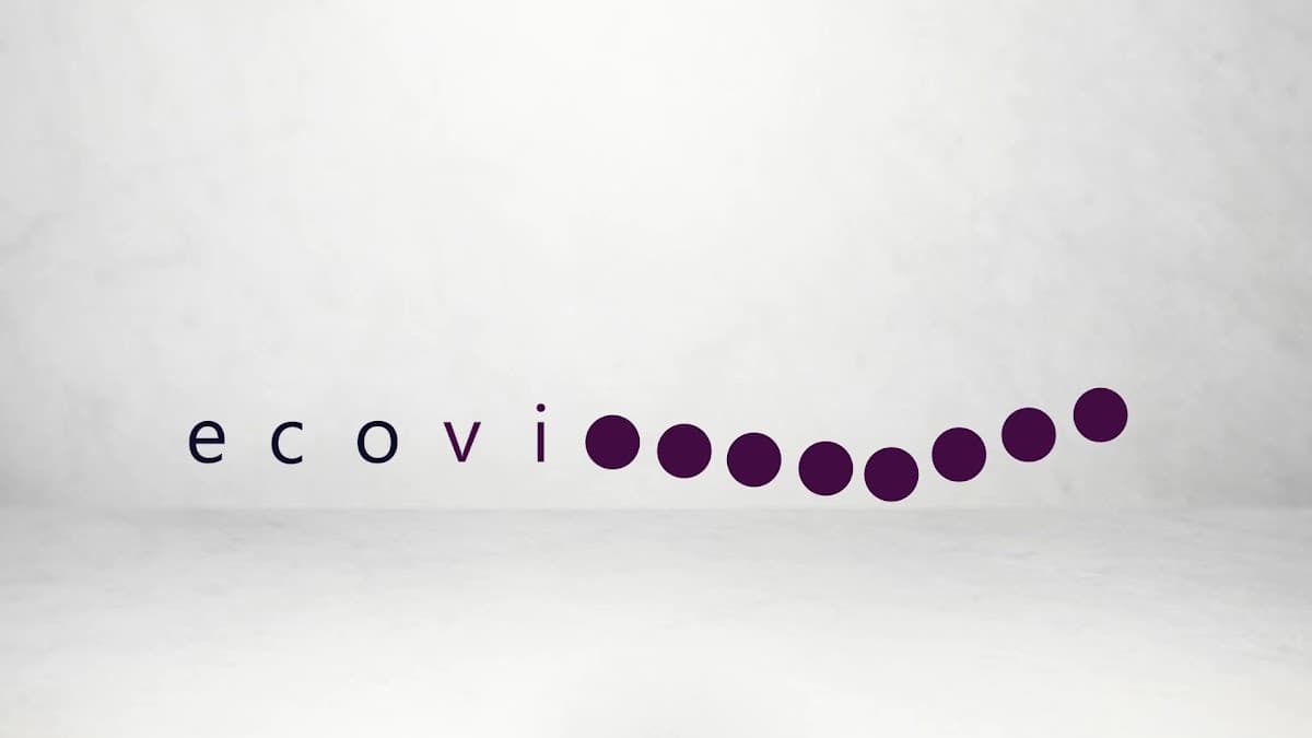 Ecovirtual S.R.L. — foto