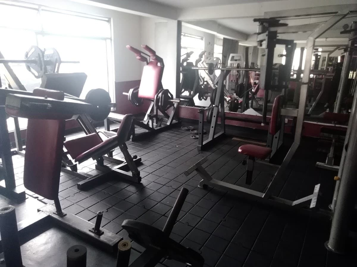 MyGyM • Gimnasios en Ibagué • Colombia