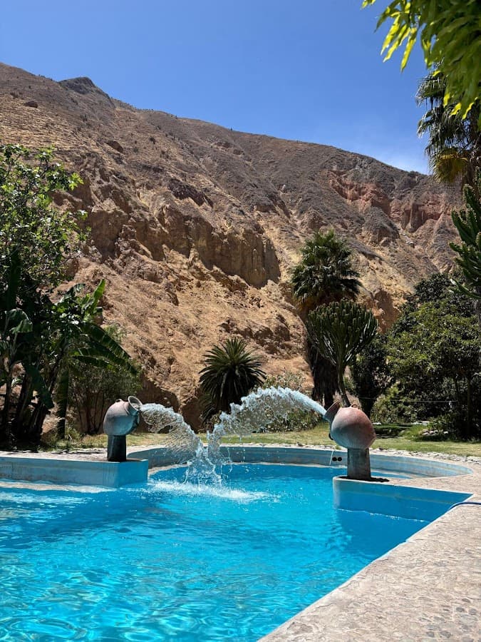 OASIS PALMERAS TRAVEL — foto