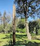 Parque da Luz — foto