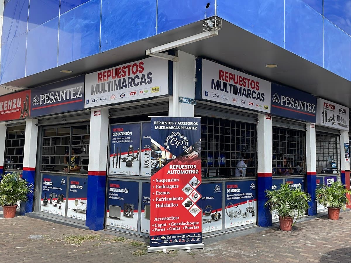 AUTO PARTES PESANTEZ