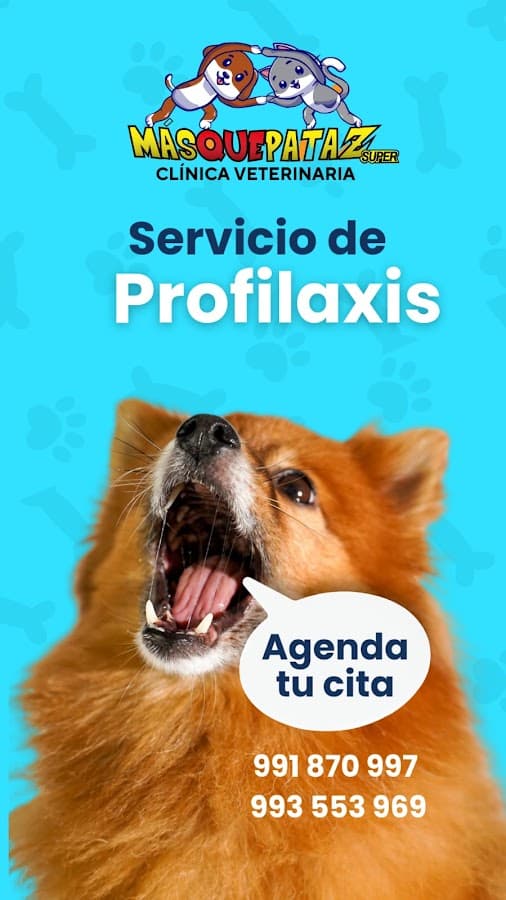 CLINICA VETERINARIA MAS QUE PATAS SUPER — foto