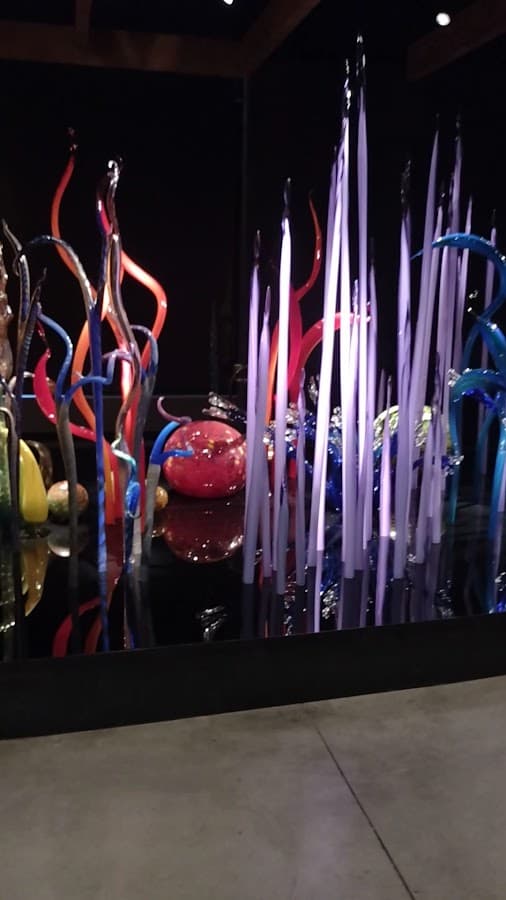 Chihuly Collection — foto