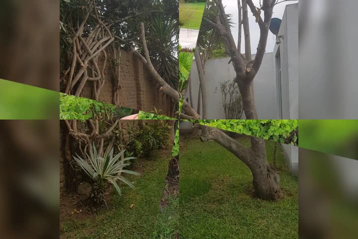 Casa Hacienda Saldaña — foto
