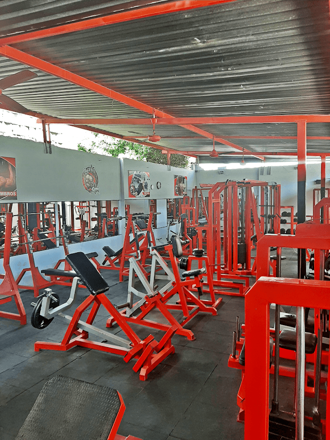 Berna gym