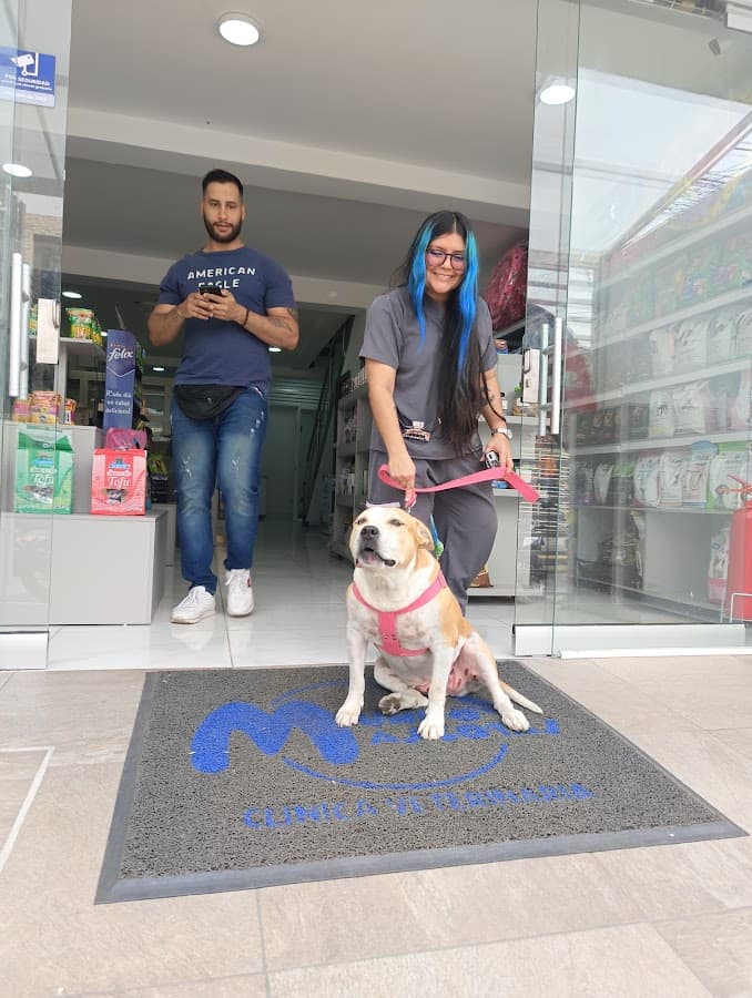 Veterinaria Mundo Mascotas La Rivera — foto