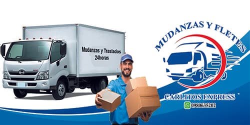 MUDANZAS Y FLETES CARLITOS EXPRESS, Servicio de Transporte, Carga, Logística