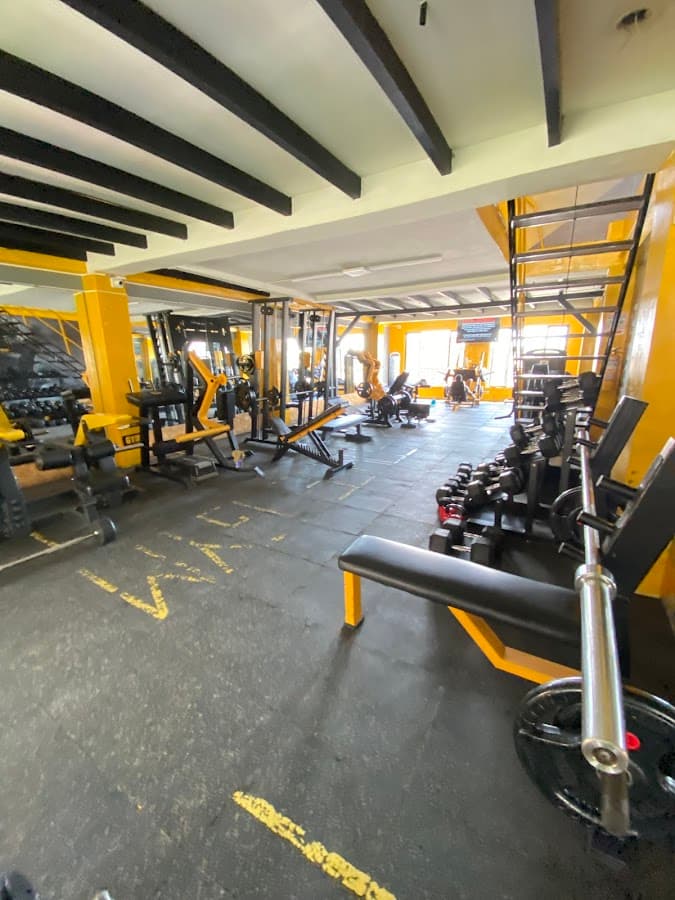 Meta Gym