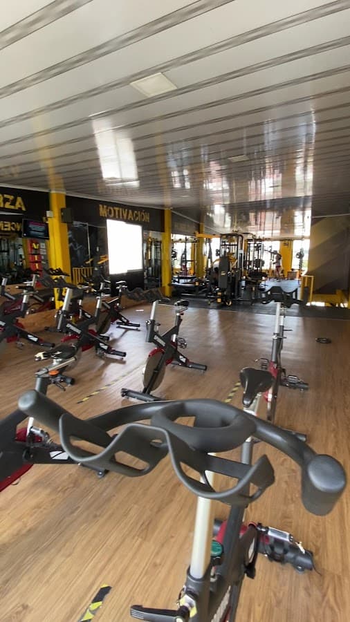 Meta Gym — foto