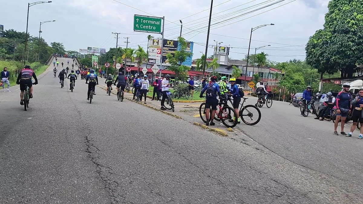 ZONA33 — foto