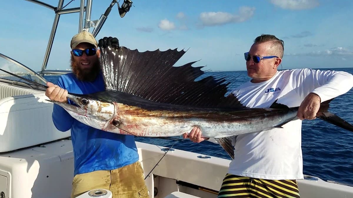 My Islands Adventure Fishing and Snorkeling charter