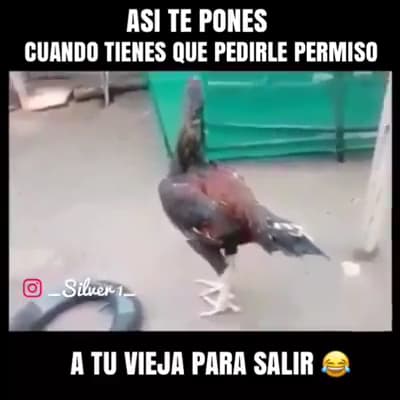 Clínica de Especialidades Sur — foto