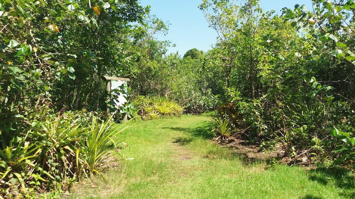 Municipal Environmental Reserve Park Capybara — foto