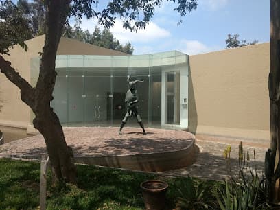 Museo de Arte Moderno