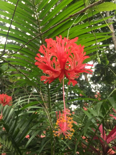 Jardín Botánico Turístico Biokuka