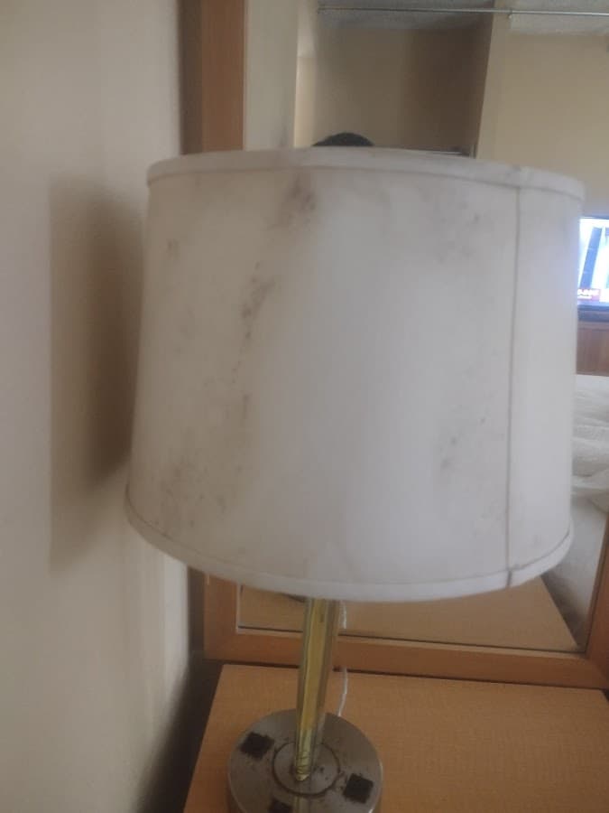 La Quinta Inn & Suites by Wyndham West Palm Beach Airport — foto