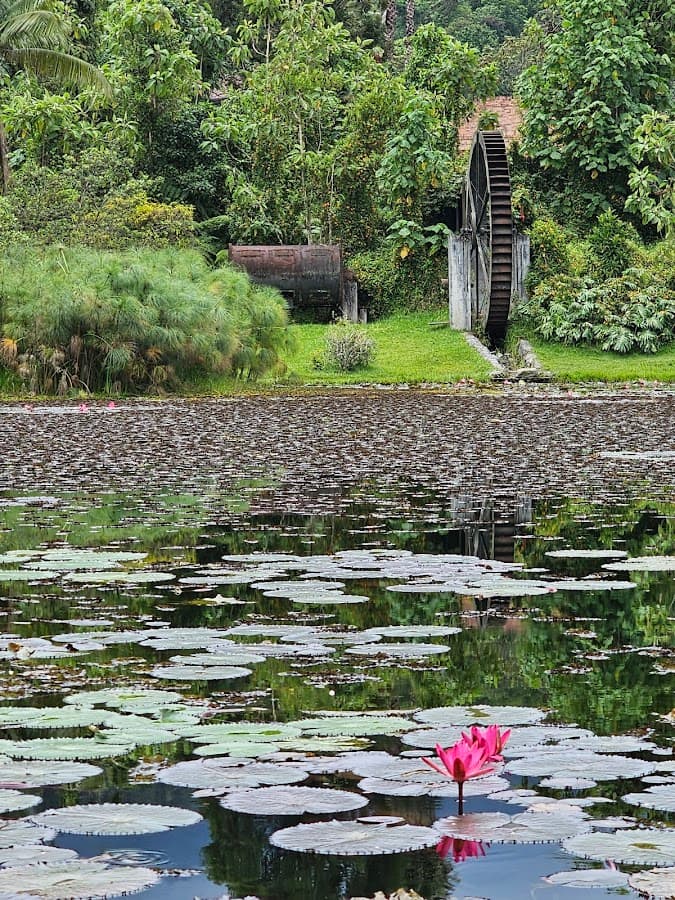 Recinto del Pensamiento — foto