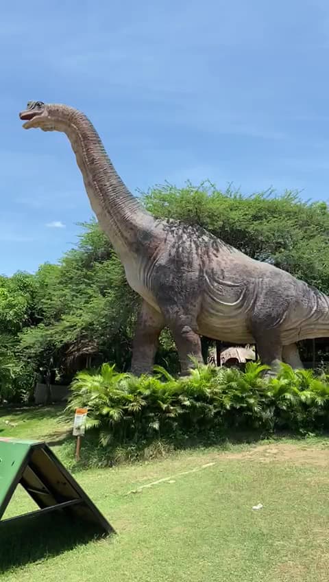Ranch Texas — foto